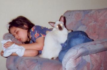 picture06